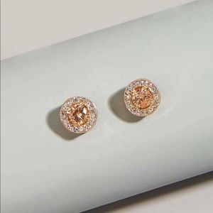 Gem Rhinestone Stud